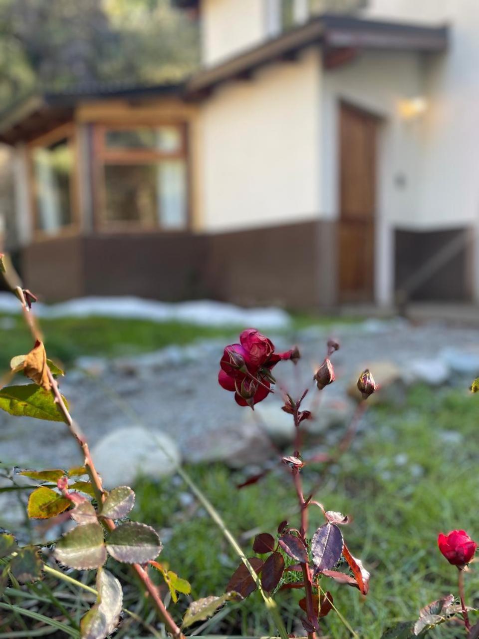 Holiday home Casa Llao De Montana